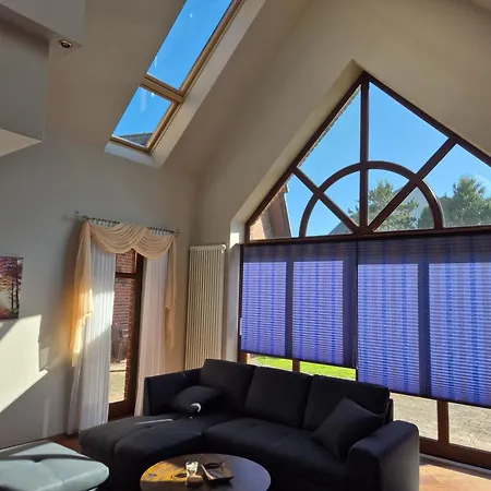 Holzmann Buchholz Aller