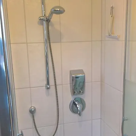 Apartament Holzmann *